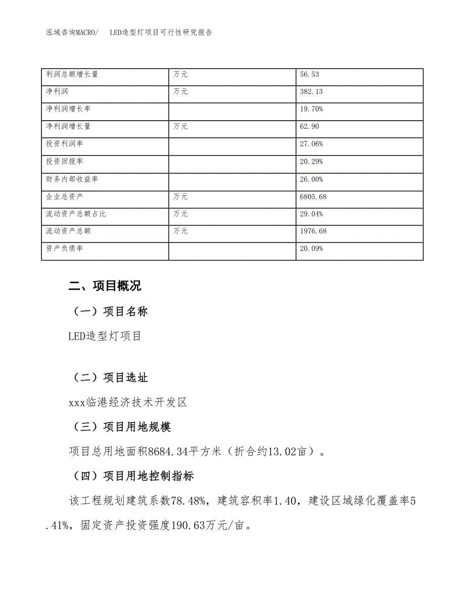 LED造型灯项目可行性研究报告（总投资3000万元）_第5页