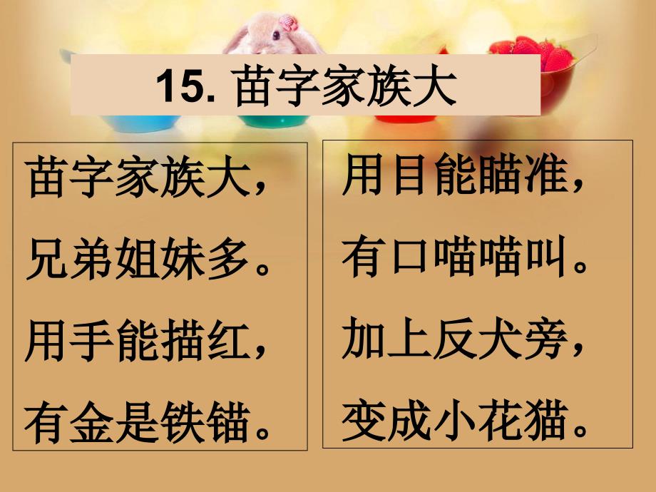 15.苗字家族大_第3页