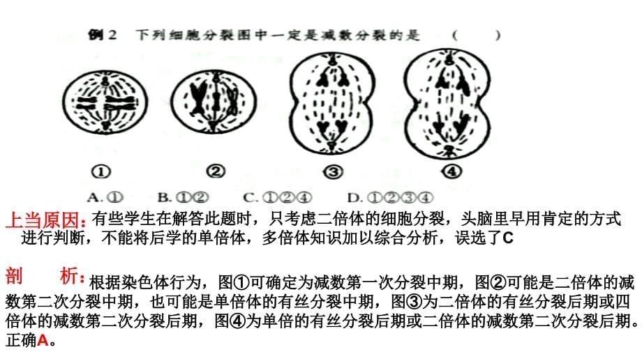 2010年高三高考生物复习专题1生物选择题的解题策略1节_第5页