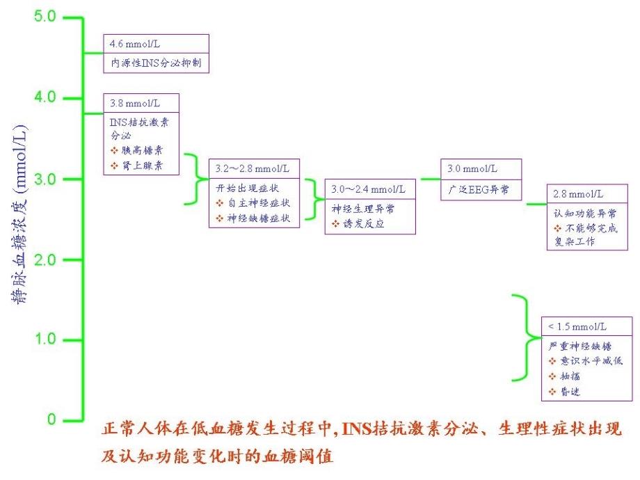 糖尿病患者低血糖的早期识别及其紧急救治_第4页