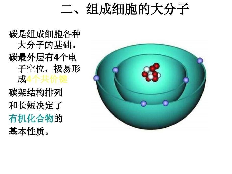 普通生物学第二版讲义——第2章节生命的化学基础幻灯片_第5页