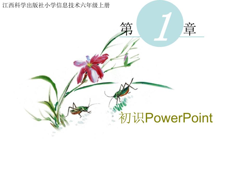 六年级上初识教学资源PowerPoint幻灯片_第1页