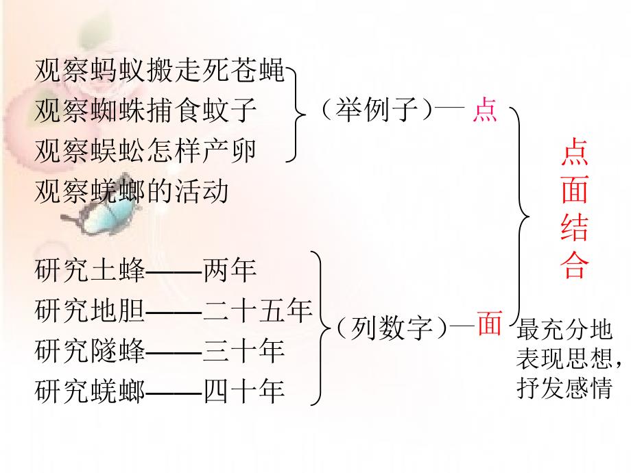 昆虫迷课件幻灯片_第4页