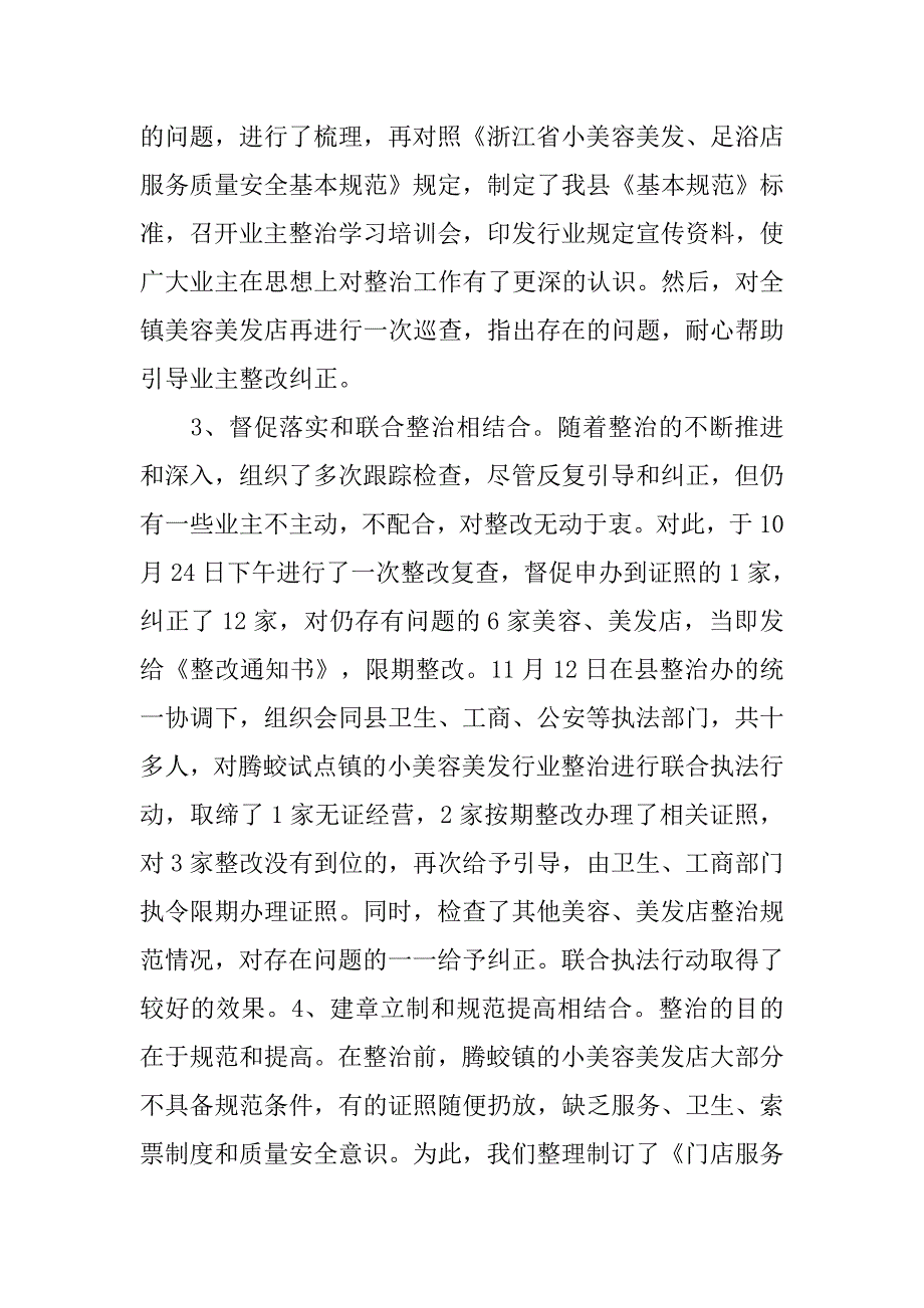 美容美发行业整治20xx年终工作总结_第3页