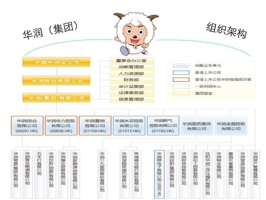 内部控制华润集团组织结构分析幻灯片_第5页