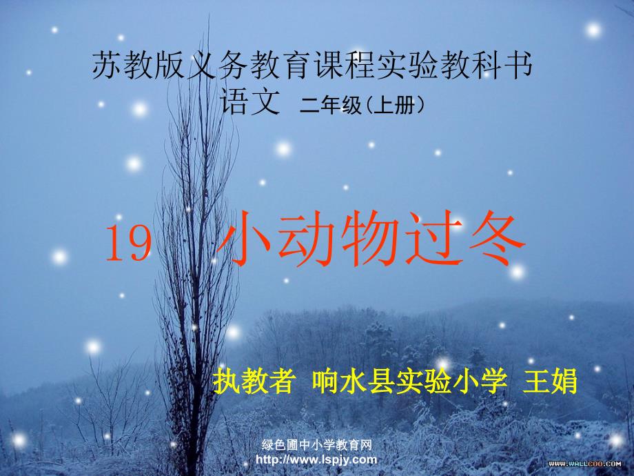 苏教版二年级上册语文小动物过冬公开课课件幻灯片_第1页