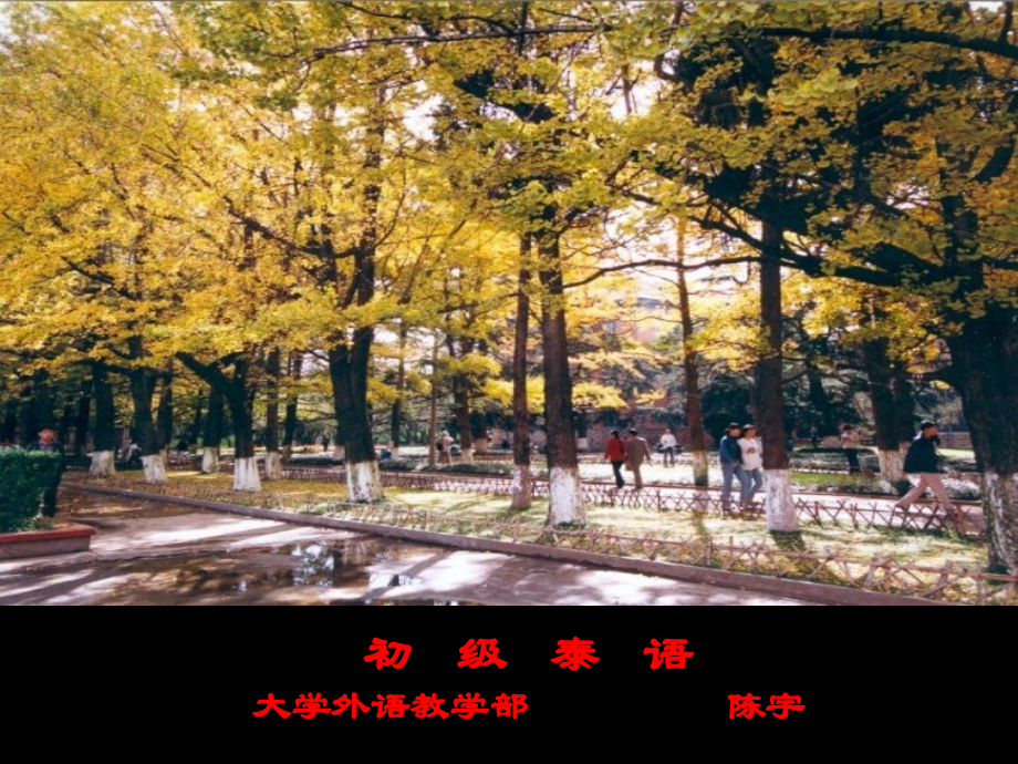 初级泰语_第一章节幻灯片_第1页