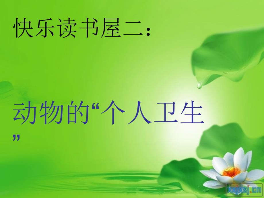 动物的个人卫生幻灯片_第1页