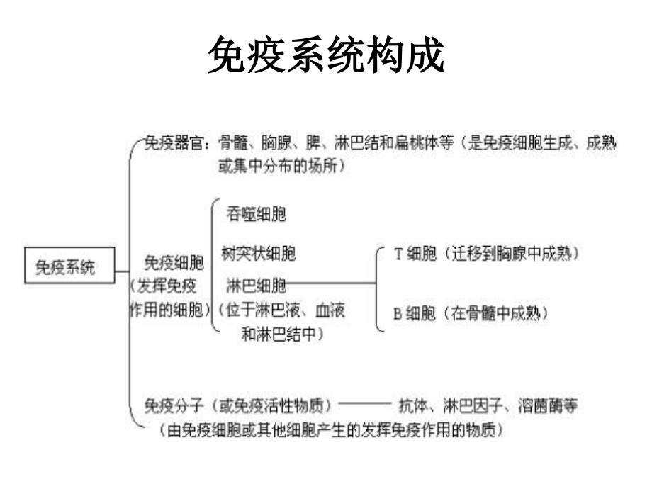 淋巴结中大鉴别诊断描述_第4页