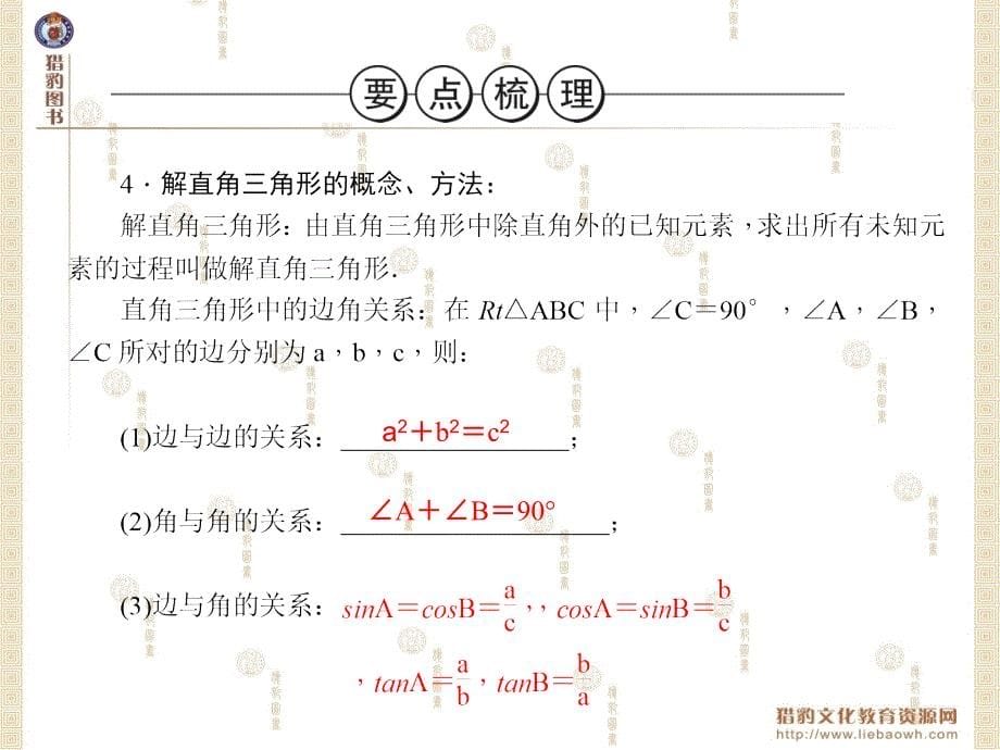 第五章第22讲锐角三角函数和解直角三角形_第5页