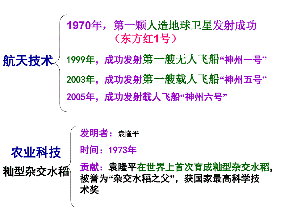 第六单元复习历史复习八年级下册课件_第4页