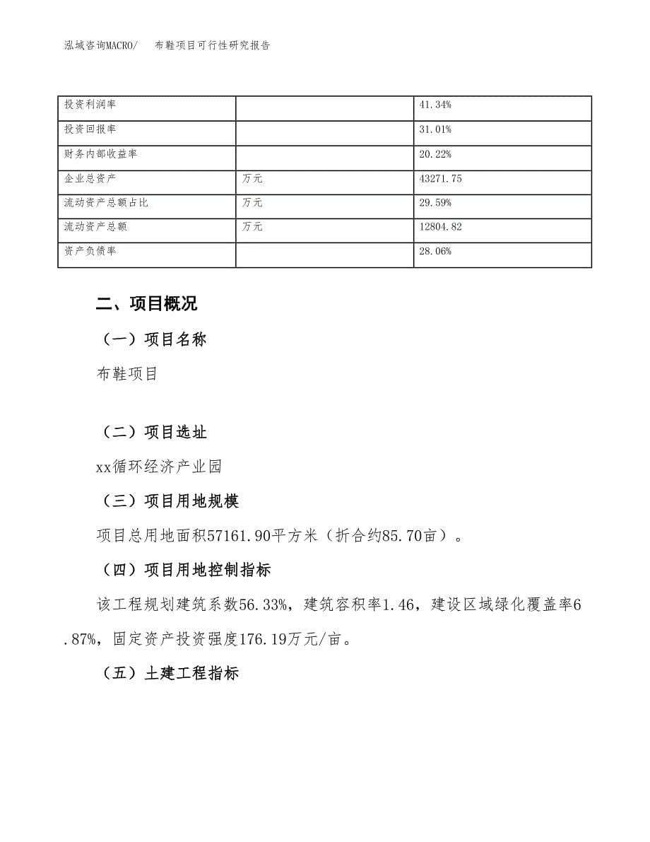 布鞋项目可行性研究报告（总投资19000万元）_第5页