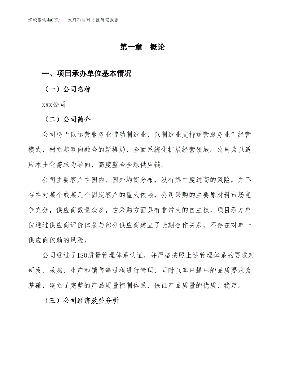 大灯项目可行性研究报告（总投资11000万元）_第3页