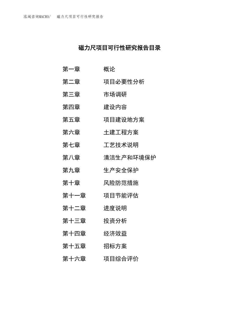 磁力尺项目可行性研究报告（总投资13000万元）_第2页