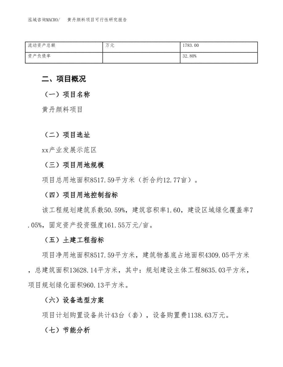 黄丹颜料项目可行性研究报告（总投资3000万元）_第5页