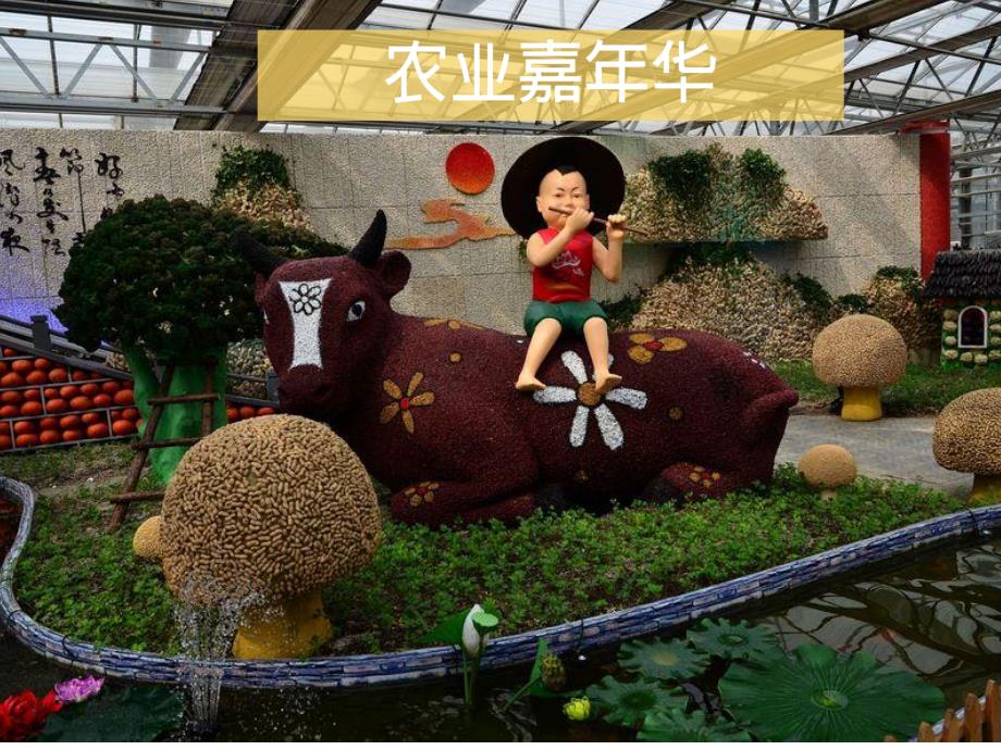 乡村亲子游_第1页