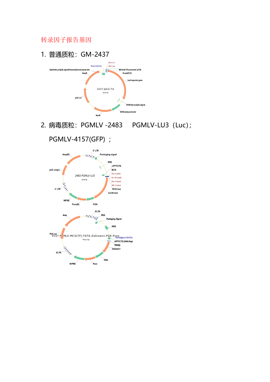 luc报告基因载体图谱_第1页