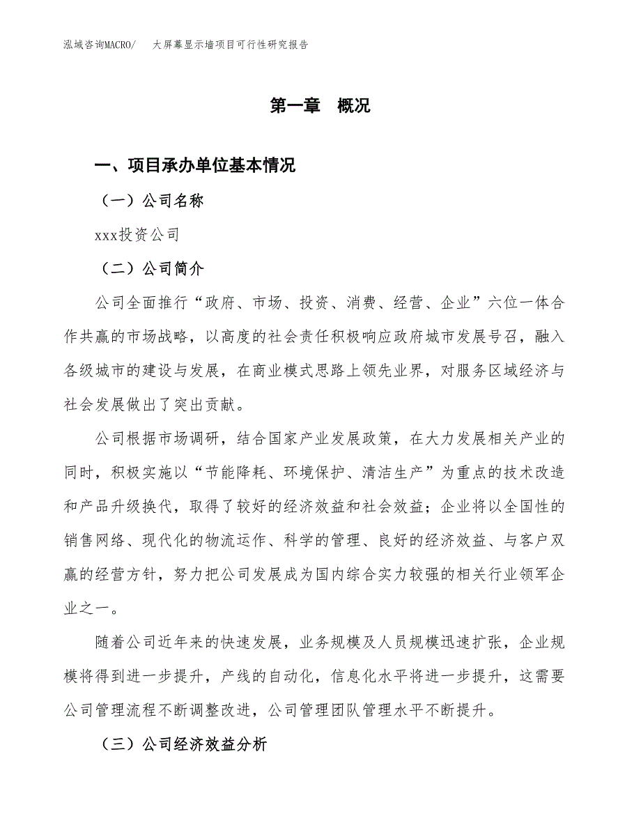 大屏幕显示墙项目可行性研究报告（总投资8000万元）_第3页