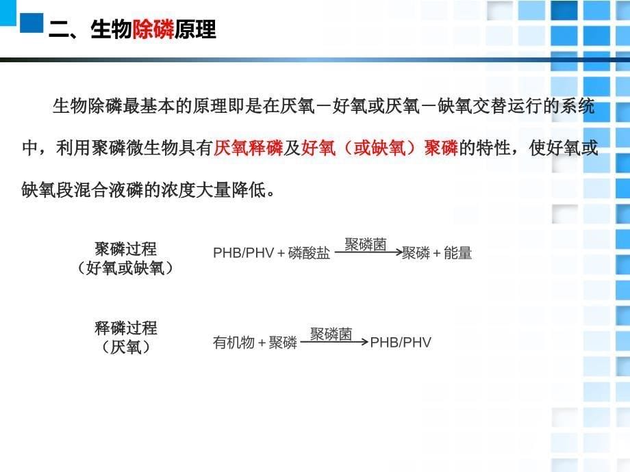 工艺技术_高寒地区生活污水脱氮除磷新工艺_第5页