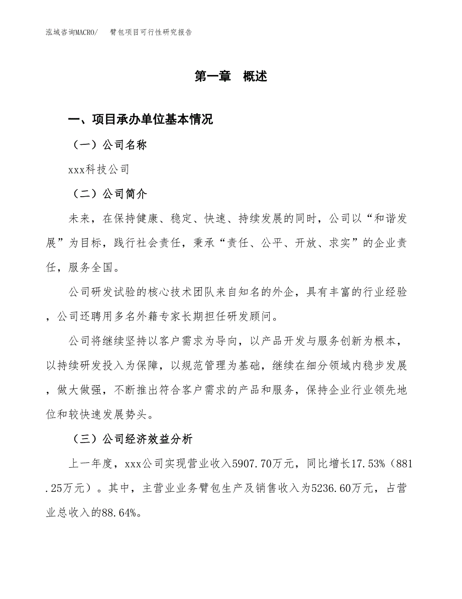 臂包项目可行性研究报告（总投资5000万元）_第3页