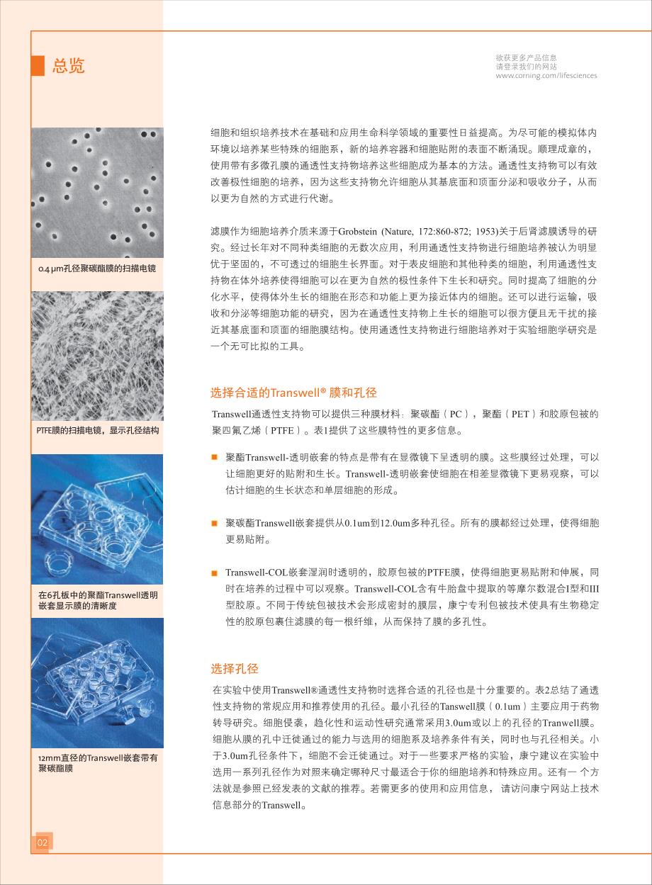 transwell小室选购指南--corning_第2页