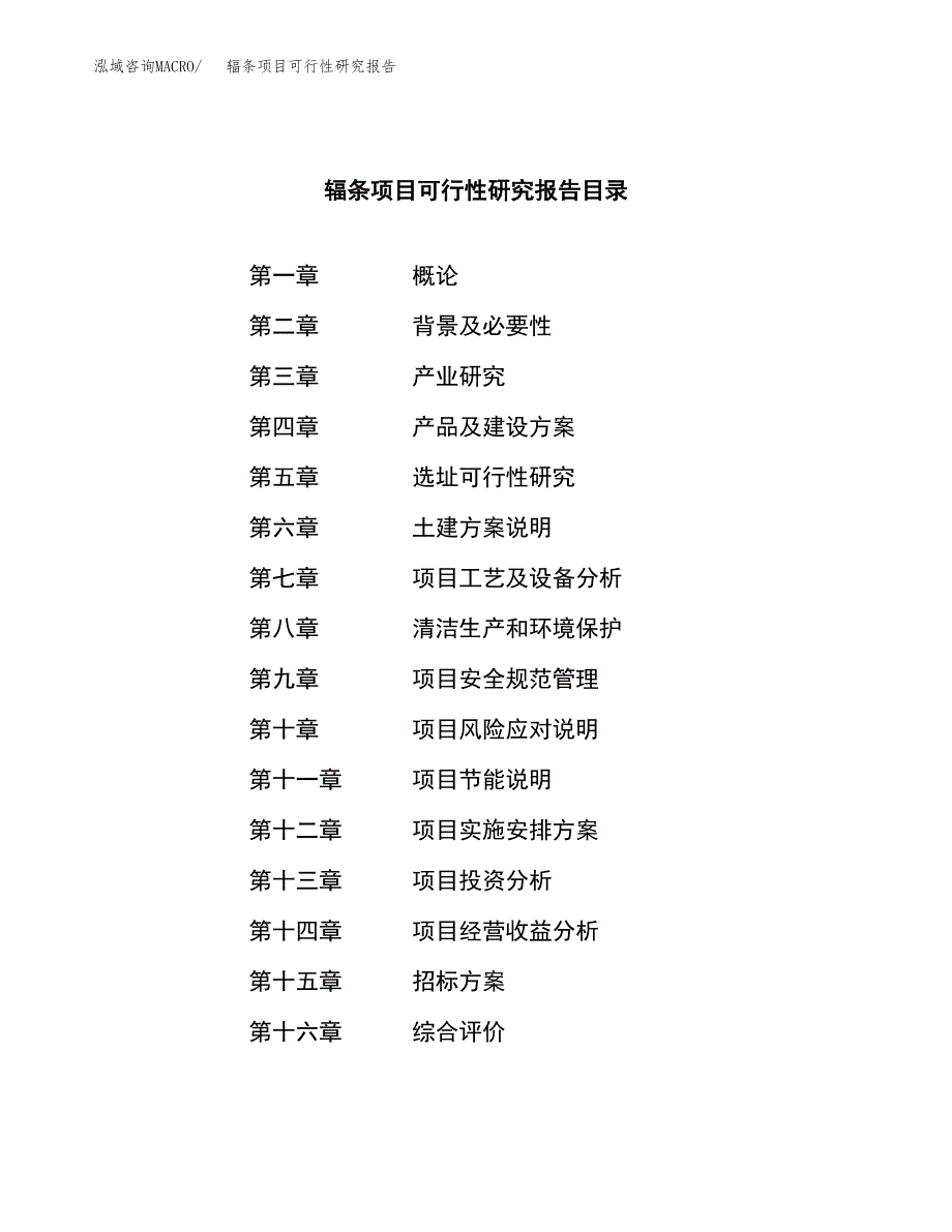 辐条项目可行性研究报告（总投资21000万元）_第2页