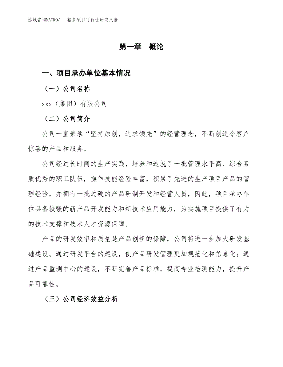 辐条项目可行性研究报告（总投资21000万元）_第3页