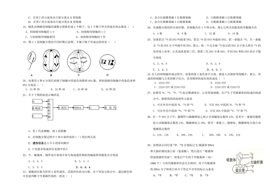 高二生物必修二检测试题_第2页