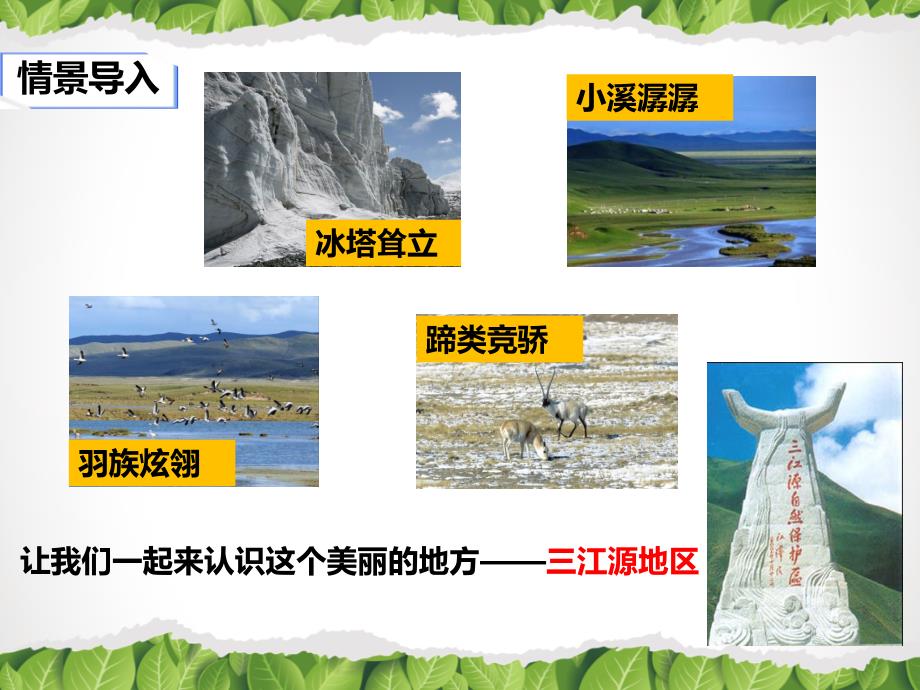 《高原湿地——三江源地区》精品课件.ppt_第2页