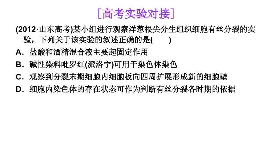 2014年高三高考生物一轮复习实验平台精品教程12观察根尖分生组织细胞的有丝分裂课件_第5页