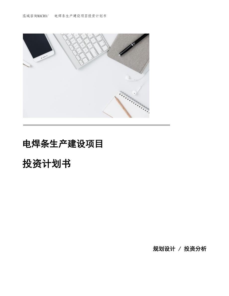 （模板）电焊条生产建设项目投资计划书_第1页