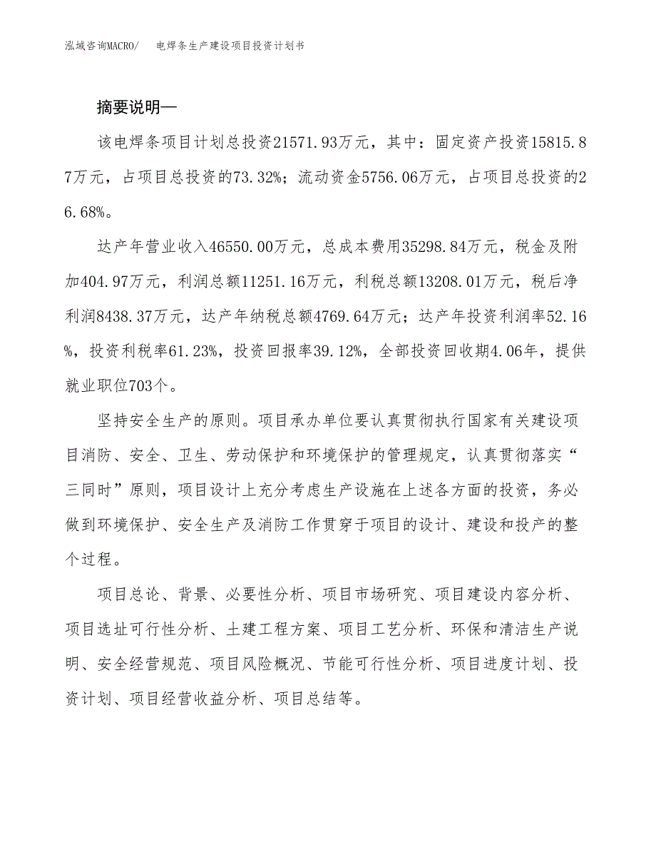 （模板）电焊条生产建设项目投资计划书_第2页