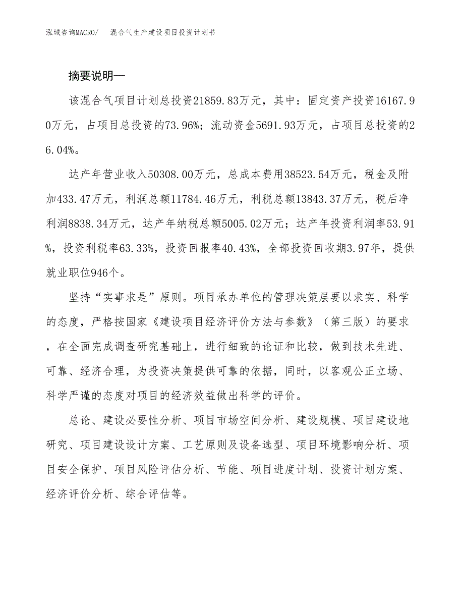 （实用模版）混合气生产建设项目投资计划书_第2页