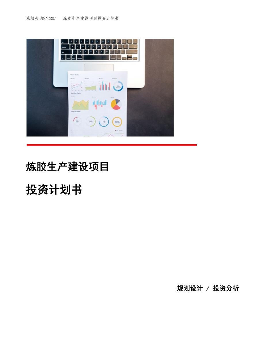 （实用模版）炼胶生产建设项目投资计划书_第1页