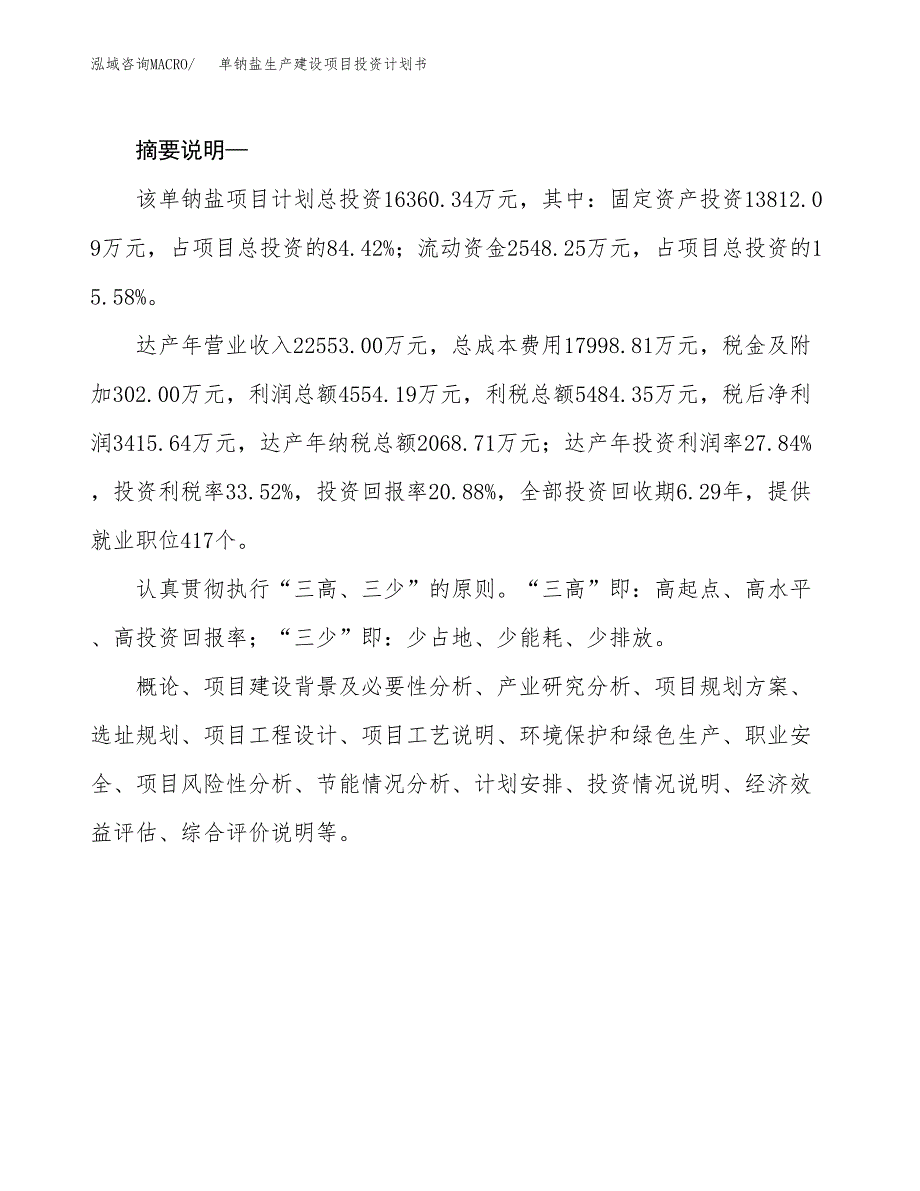 （实用模版）单钠盐生产建设项目投资计划书_第2页