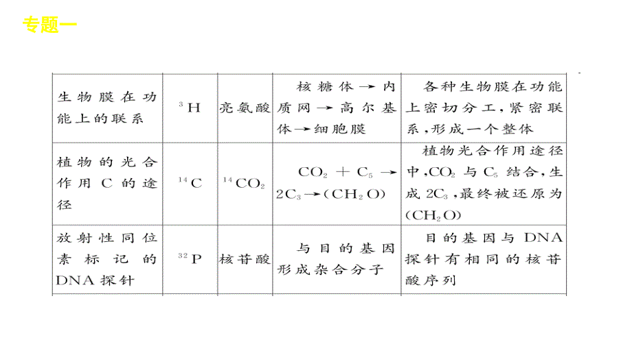 2012届高三高考新课标生物二轮复习方案教程专题1细胞化学成分的统课件_第4页