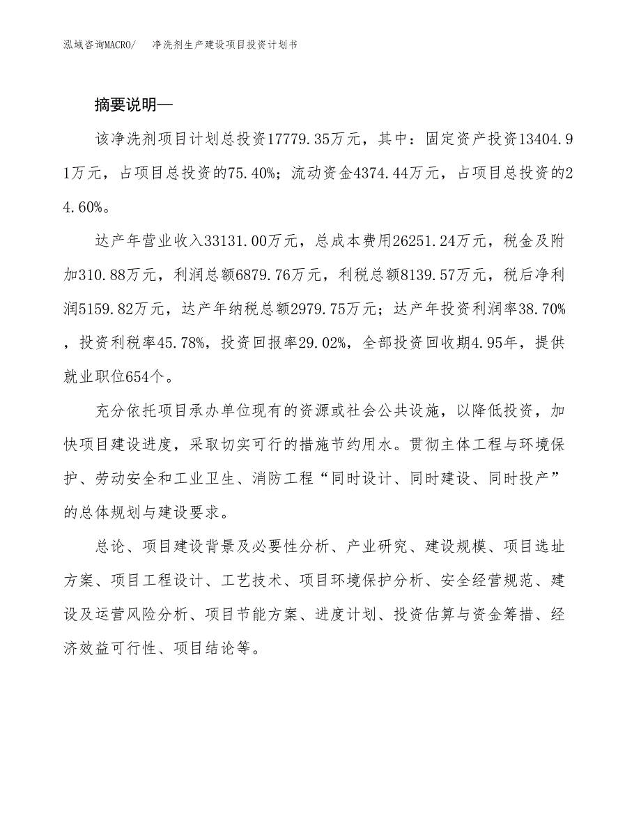 （实用模版）净洗剂生产建设项目投资计划书_第2页