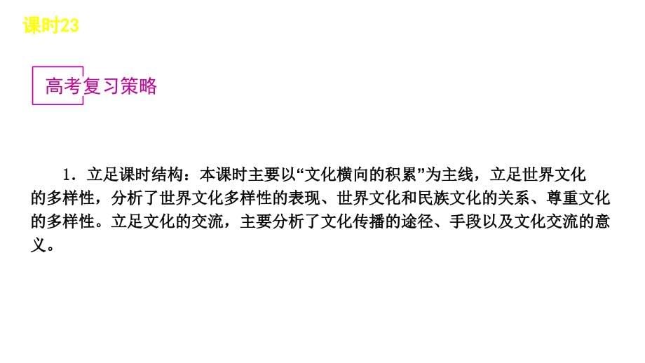 2013届高三政治人教版一轮精品教程课时23文化的多样性与文化传播共60张演示文稿_第5页