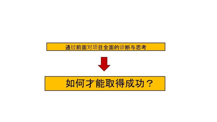 2012年2月南通市海安县东大街商业营销策划报告教程_第5页