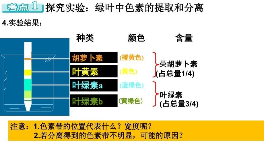 2013年高三高考生物一轮复习教程能量之源光与光合作用课件_第5页