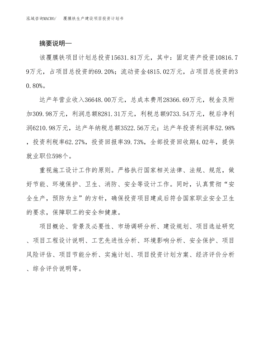 （实用模版）覆膜铁生产建设项目投资计划书_第2页