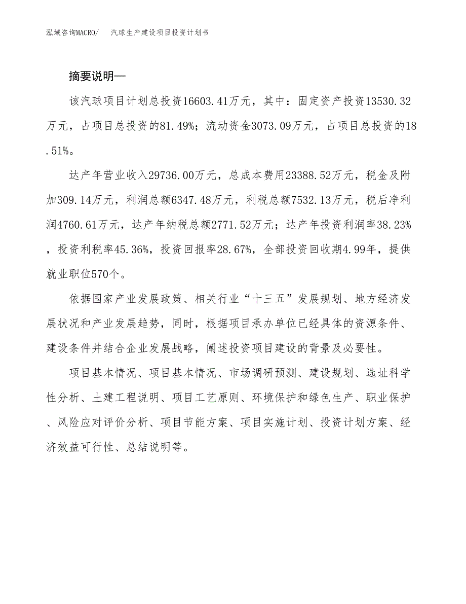 （模板）汽球生产建设项目投资计划书_第2页