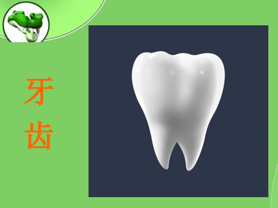 幼儿园口腔卫生爱护我们的牙齿2015_第2页