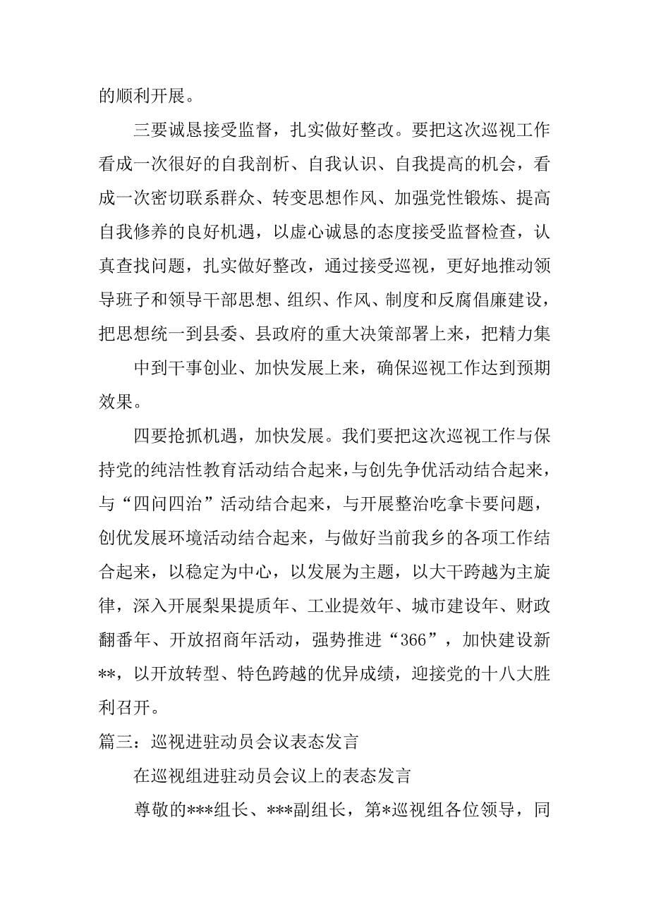 巡视动员会表态发言稿.doc_第5页