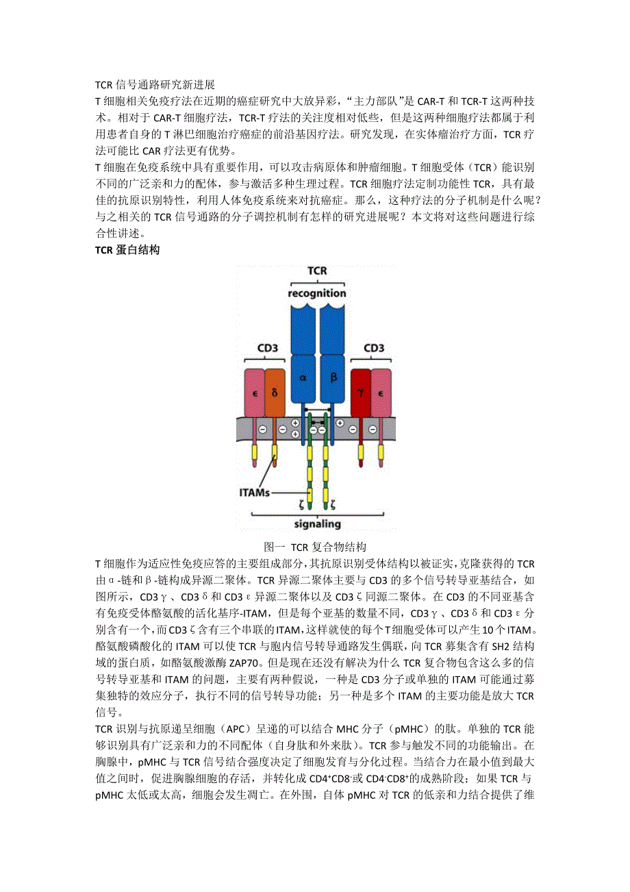 tcr细胞通路研究进展_第1页