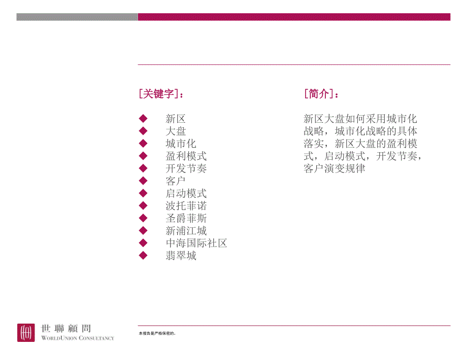 新区大盘城市化战略研究_第2页