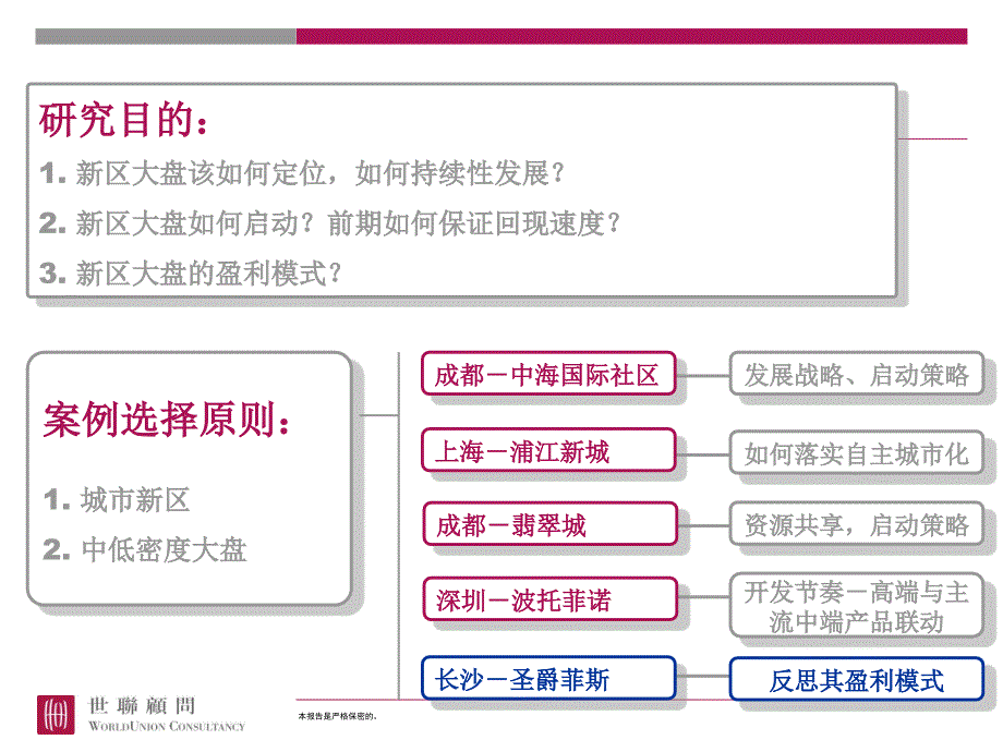 新区大盘城市化战略研究_第3页