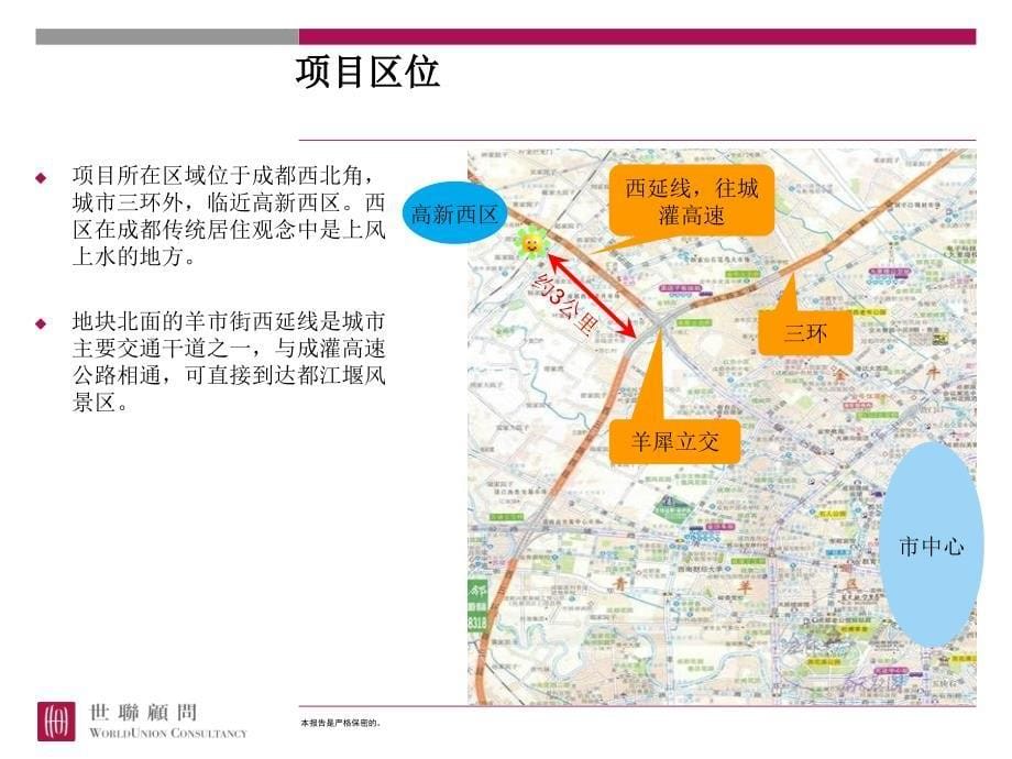 新区大盘城市化战略研究_第5页