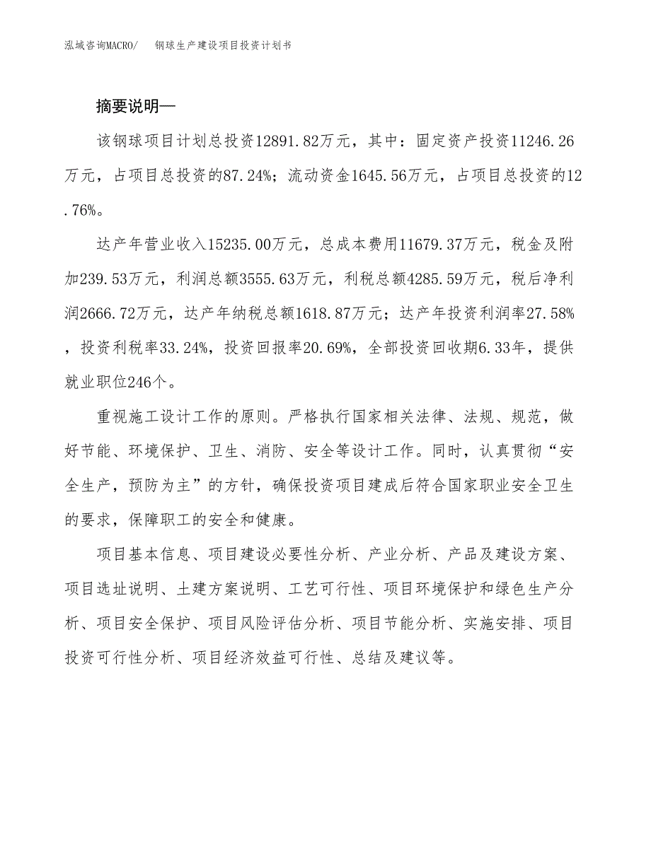 （模板）钢球生产建设项目投资计划书_第2页