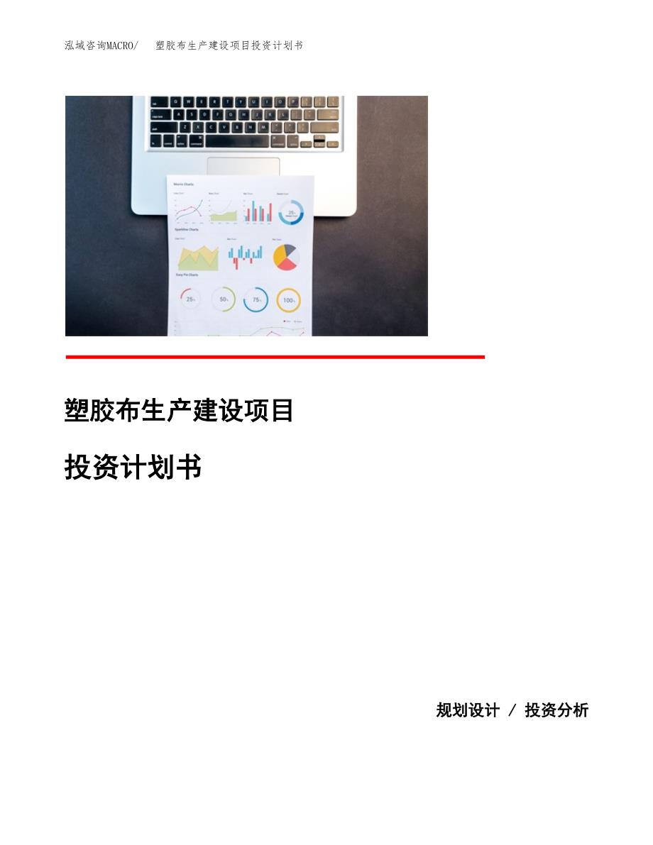 （实用模版）塑胶布生产建设项目投资计划书_第1页